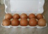Фото Продаю яйца куриные